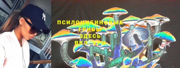 прущая мука Бугульма