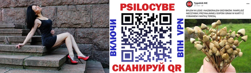 Галлюциногенные грибы мухоморы  Гусев 
